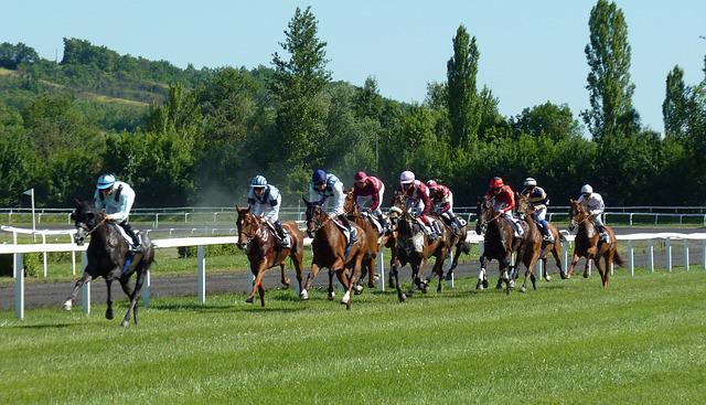 競馬の画像